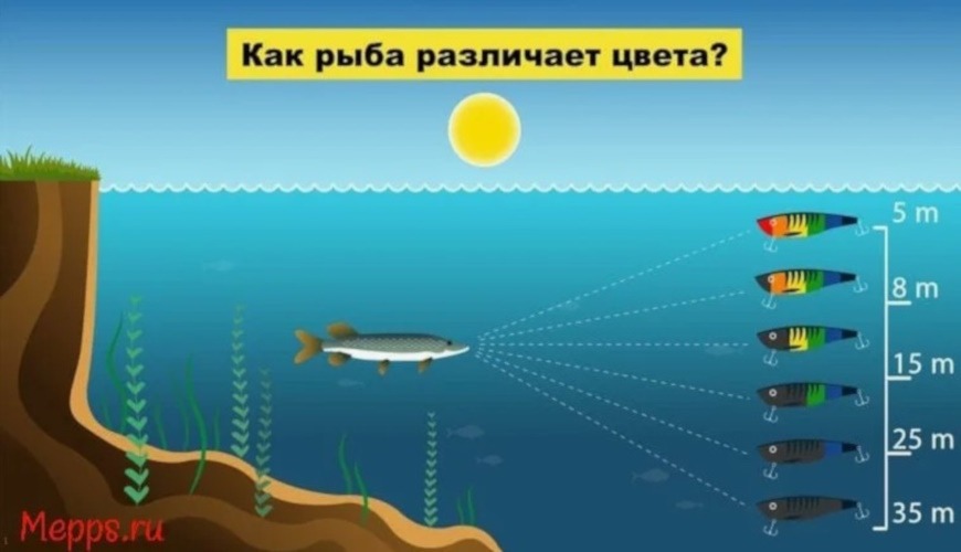 Щука видит приманки не по цвету в отрыве от среды, а по тому, насколько хорошо объект выделяется на фоне воды